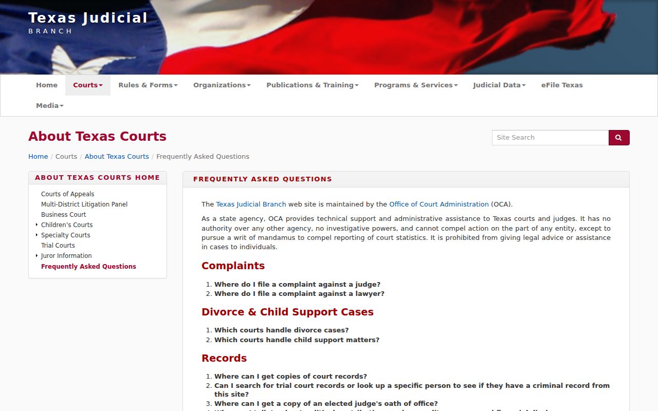 Texas court records FAQ for La Salle County criminal court case access